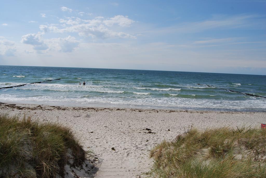Doppelhaushaelfte In Auf Hiddensee
