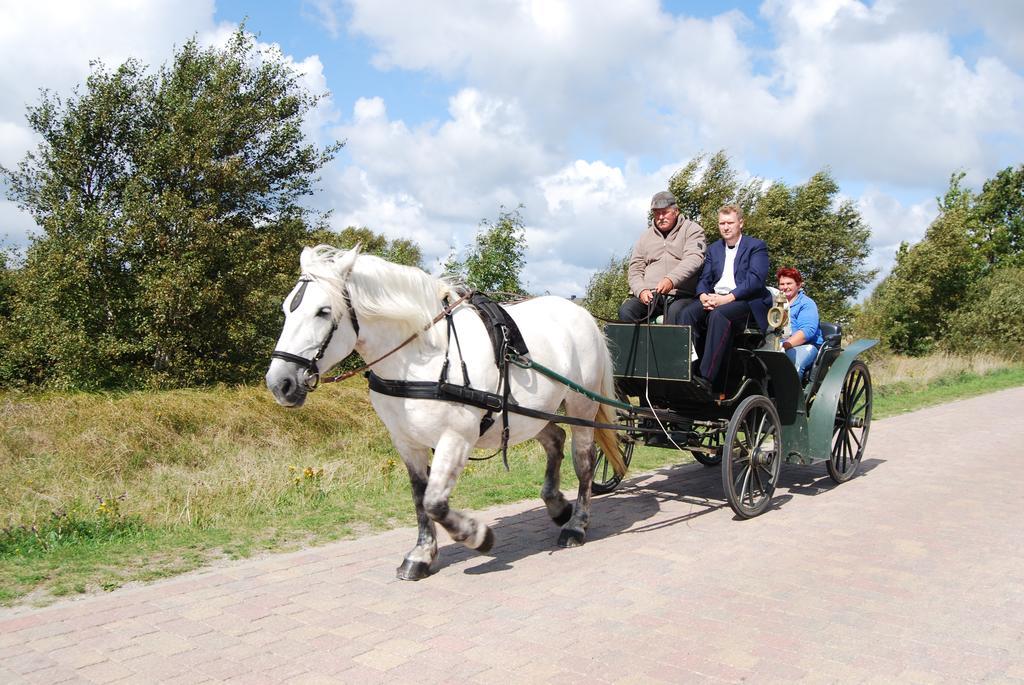 Doppelhaushaelfte In Auf Hiddensee * Vitte